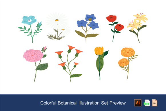 Download Colorful Botanical Illustration Set - Illustration Collection