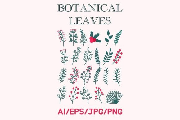 Download Botanical Illustration (for Decoration) - Illustration Collection