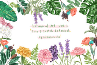 Download Colored Botanical Illustration - Illustration Collection