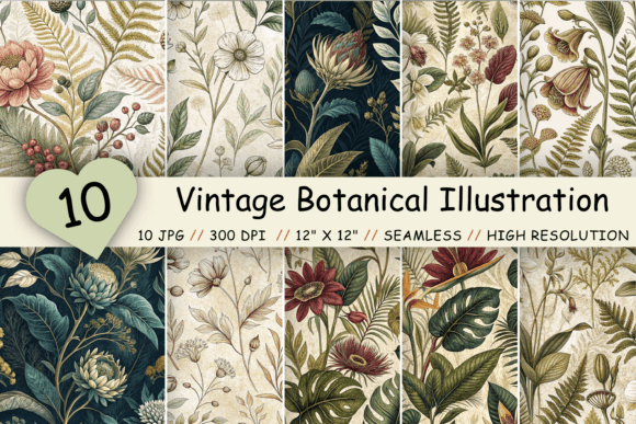 Download Vintage Botanical Illustration Paper - Illustration Collection